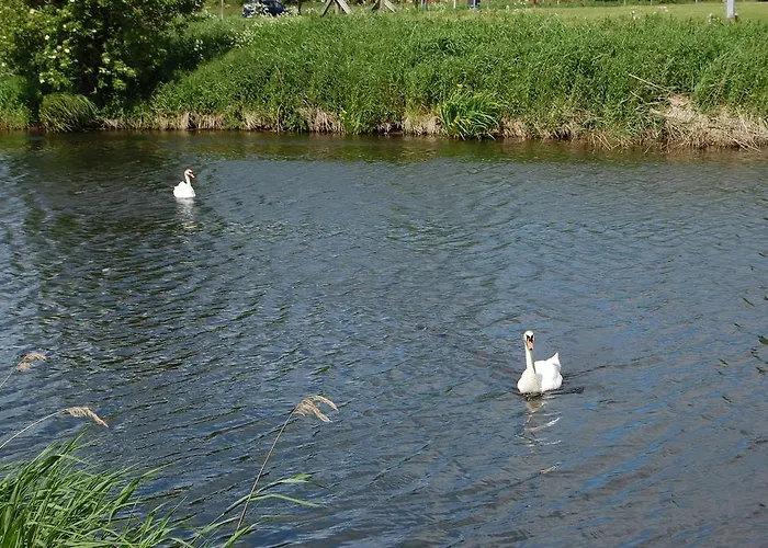 Kalifornia258 Apartamento Schönberg in Holstein